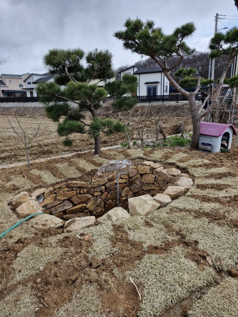 연못 완성 모습